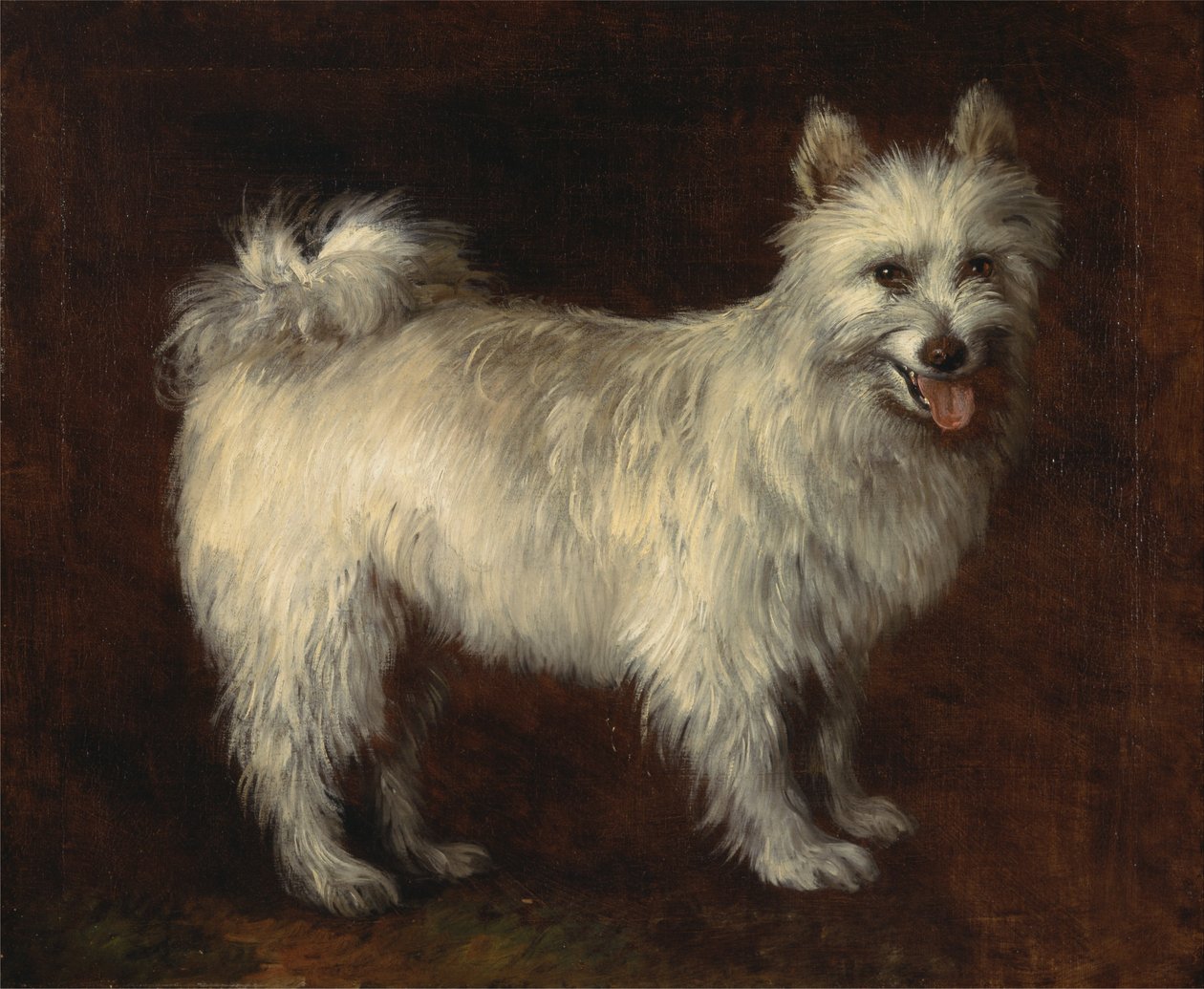 Spitzhund von Thomas Gainsborough