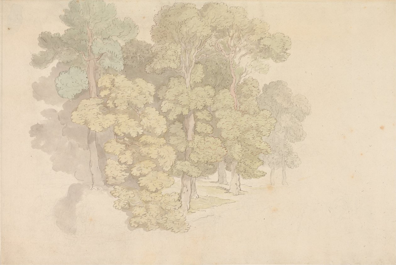 Eine Gruppe von Bäumen von Thomas Rowlandson