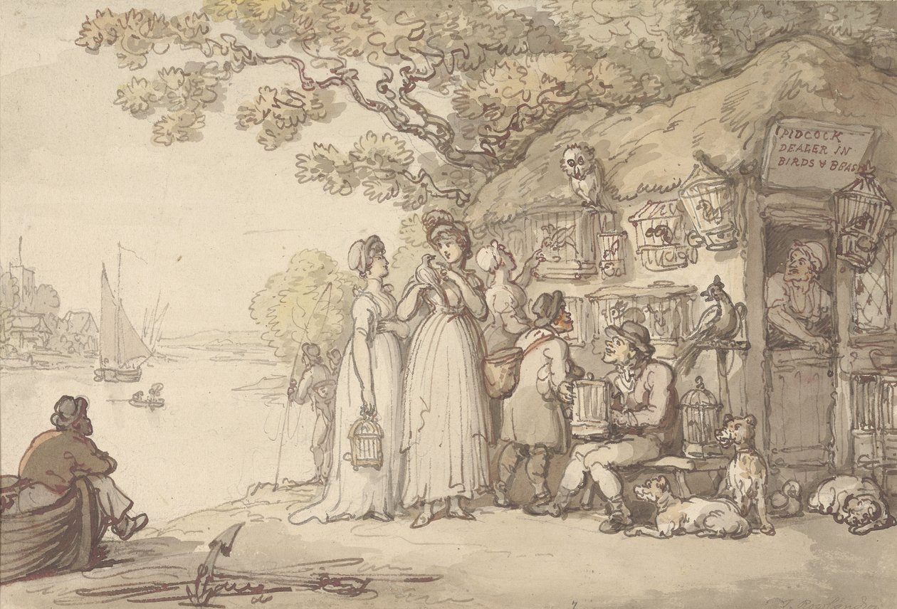 Pidcock, Händler für Vögel und Tiere von Thomas Rowlandson