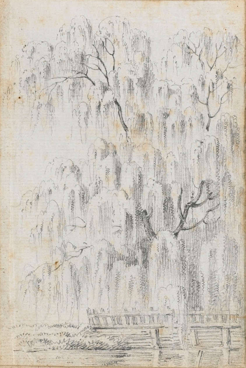 Studie eines Baumes, der über Wasser bei Merton hängt (recto) von Thomas Baxter