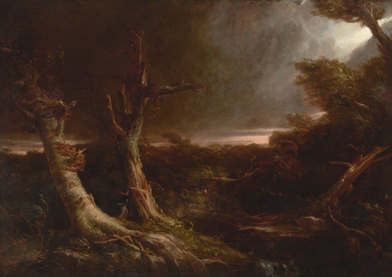 Tornado in einem amerikanischen Wald von Thomas Cole