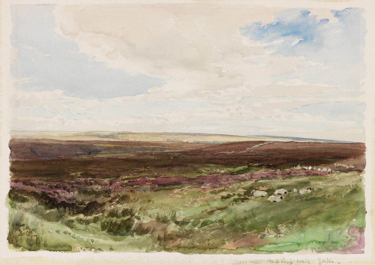 Moorlandschaft bei Hart Leap Well, Yorkshire von Thomas Collier