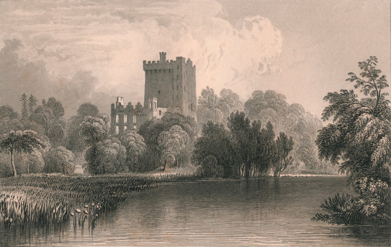 Blarney Castle, Co. Cork von Thomas Dixon