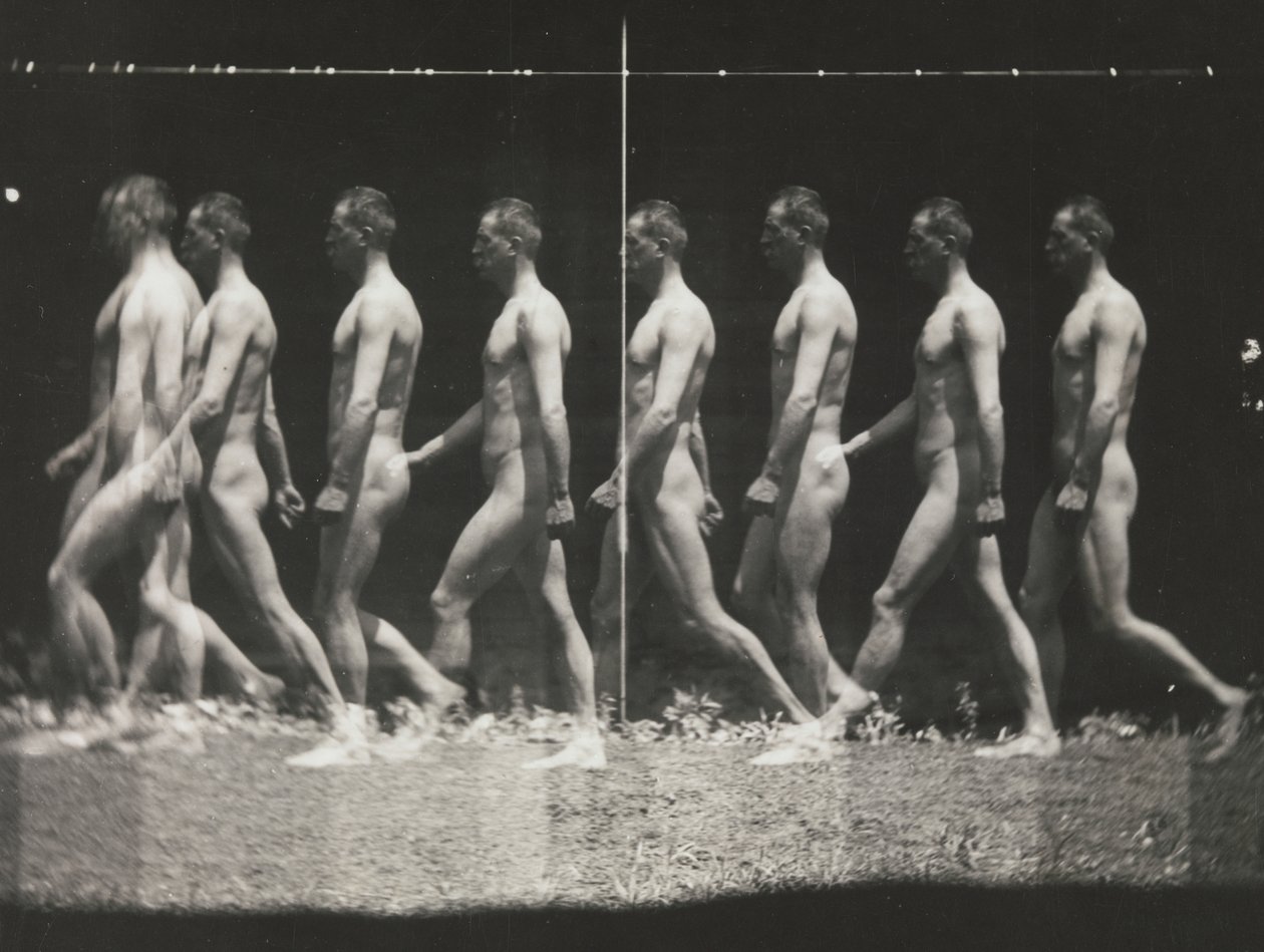 [Mann beim Gehen, stroboskopische Fotografie], 1880er, gedruckt 1930er-40er von Thomas Eakins