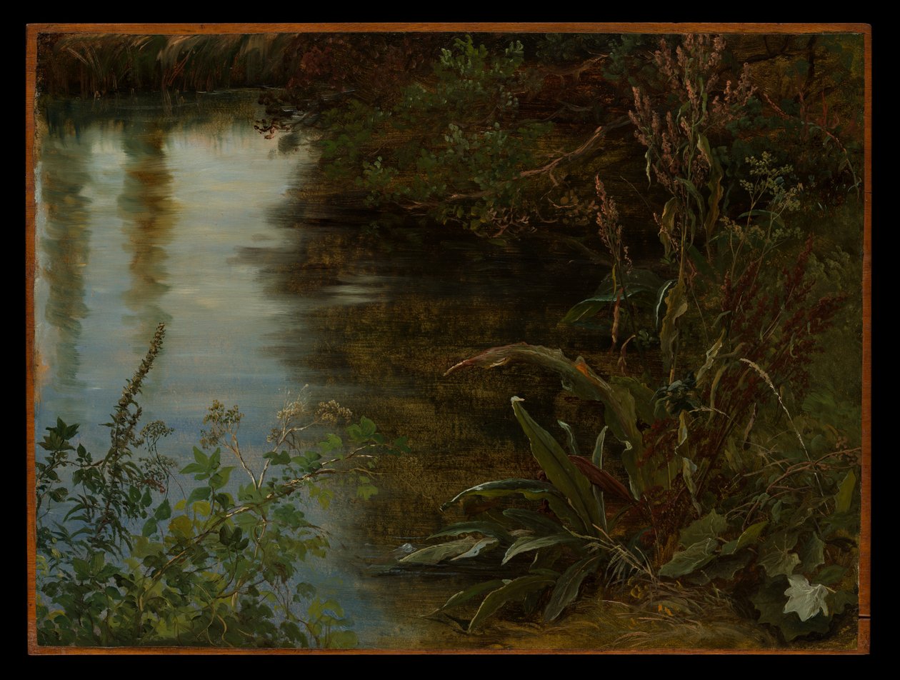 Studie von Wasser und Pflanzen von Thomas Fearnley
