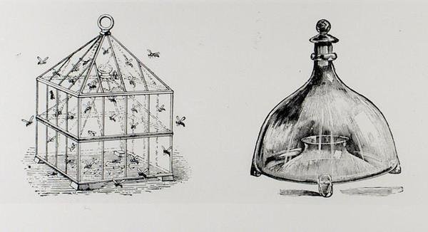 Wespen- und Fliegenfallen, aus Thomas Mawsons 