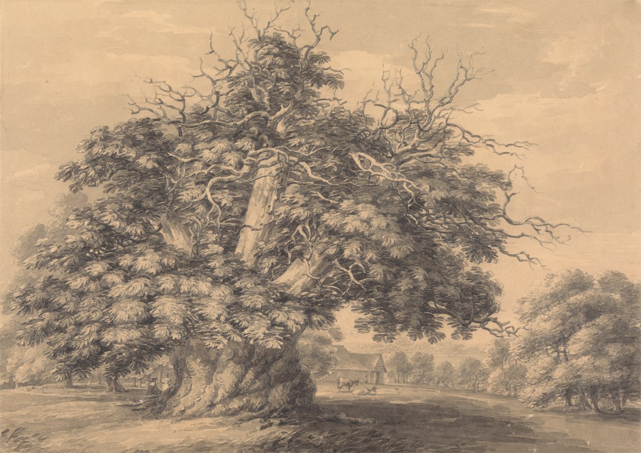 Die Kastanie in Little Wymondley, Hertfordshire von Thomas Hearne