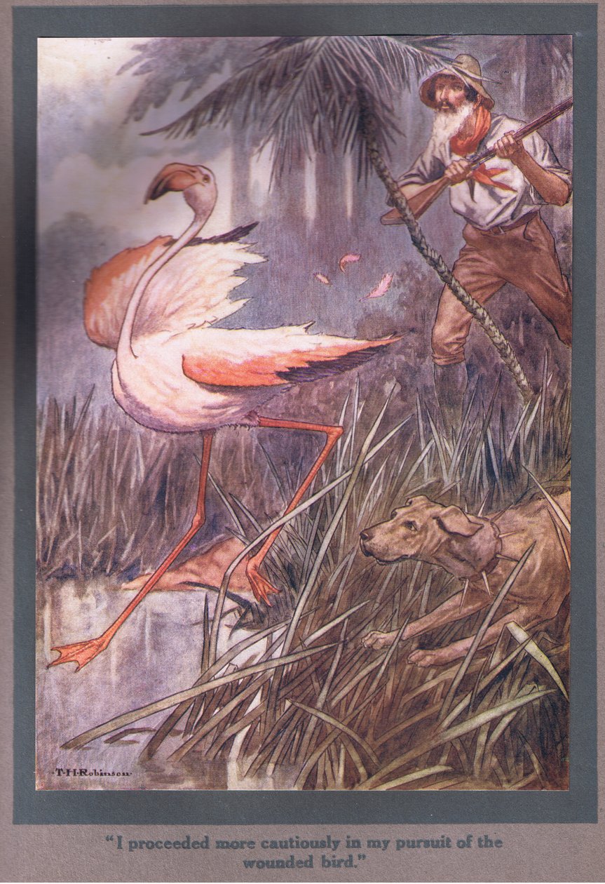 Ich ging vorsichtiger bei der Verfolgung des verwundeten Vogels vor von Thomas Heath Robinson