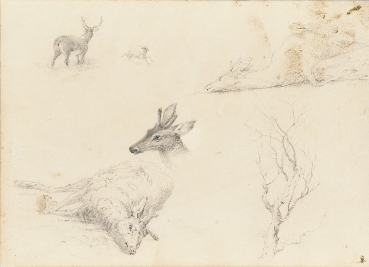 Skizzenbuch mit Landschafts- und Tiermotiven von Thomas Hewes Hinckley