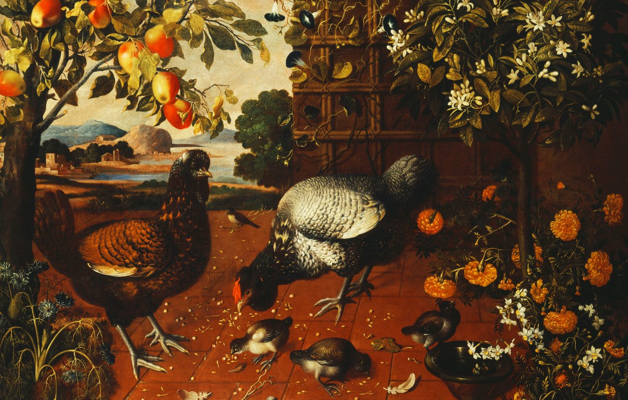 Ein Hahn, eine Henne und Küken in einem Hof von Thomas Hiepes