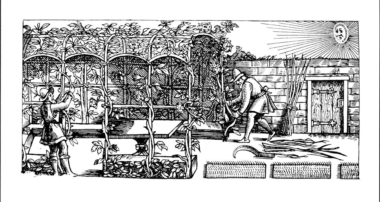 Laube als Sonnenschutz gebaut, aus 