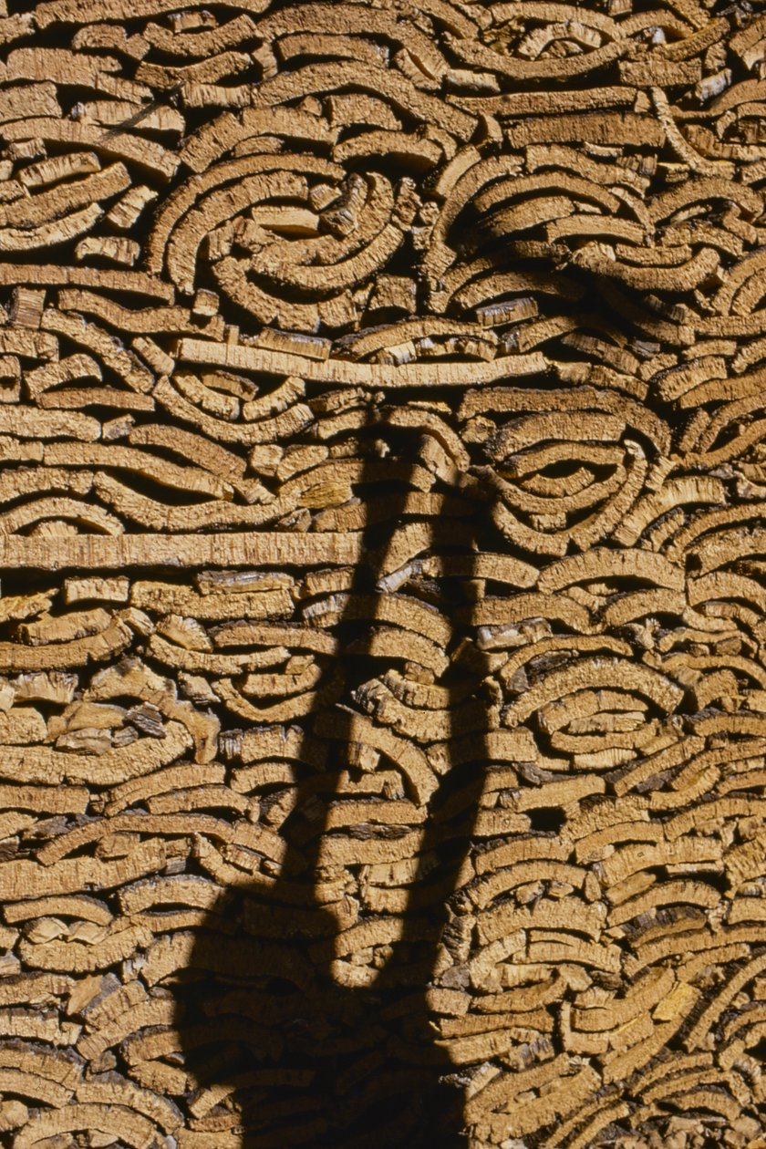 Schatten eines Mannes, der Kork für den Export aus Marokko stapelt von Thomas J. Abercrombie