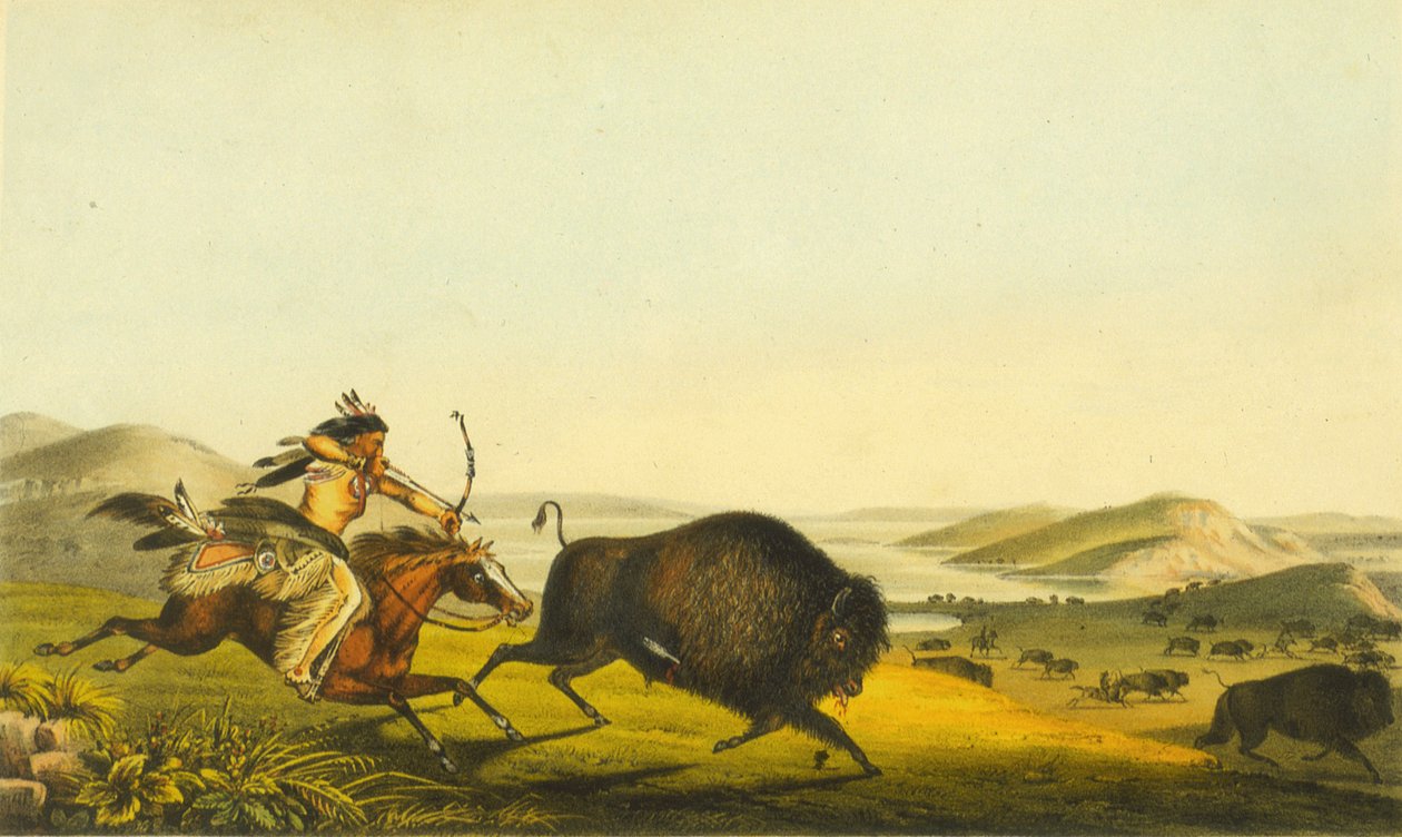 Büffeljagd, 1848 von Thomas Loraine McKenney