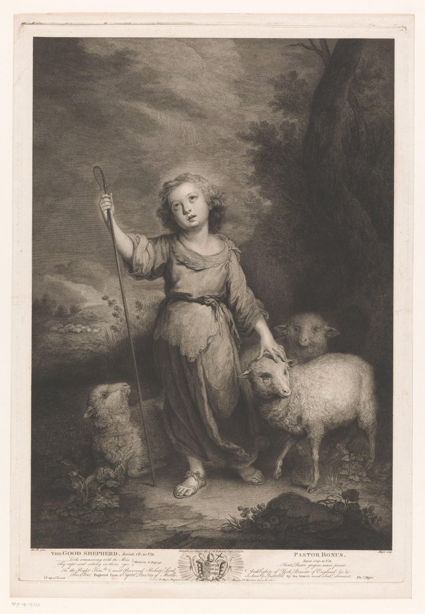 Junger Hirte mit Lämmern von Thomas Major