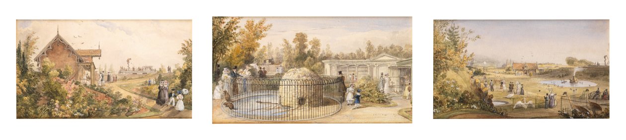 Der Biberteich, Zoologische Gärten, Regent