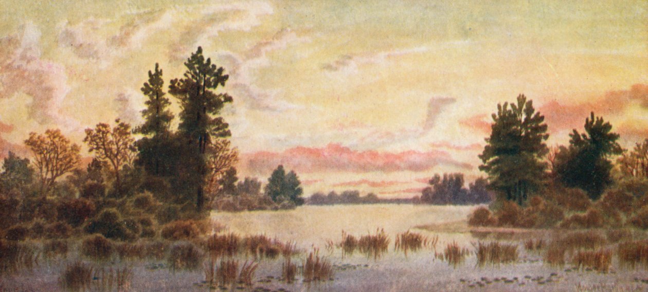 Sonnenuntergang am Canoe Lake, Parry Sound von Thomas Mower Martin