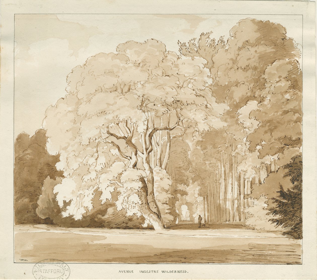 Ingestre - eine Studie von Bäumen, ca. 1838 von Thomas Peploe Wood