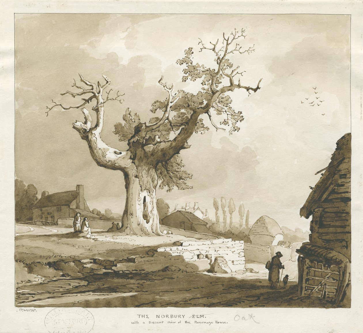 Norbury Dorf - 