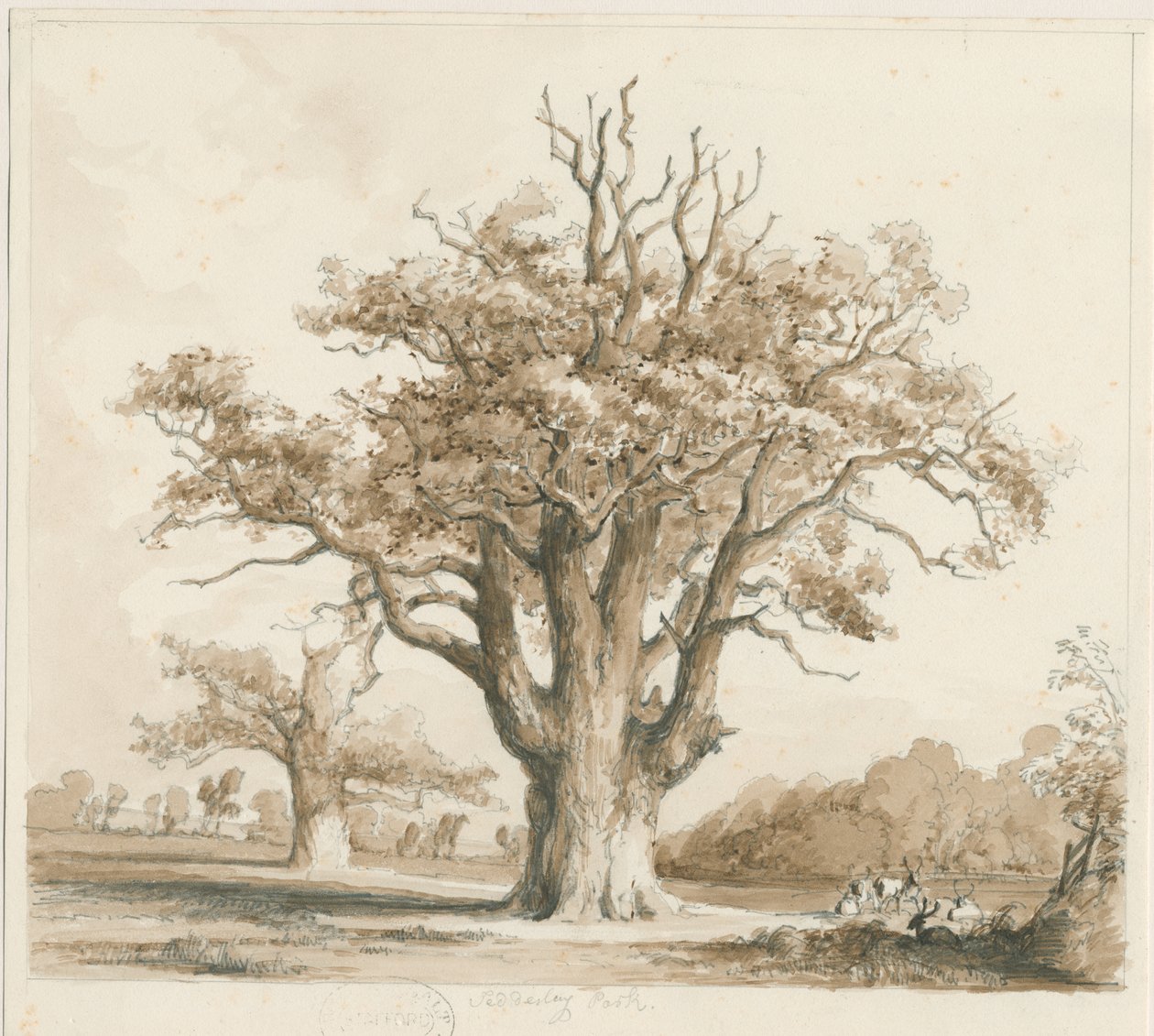 Teddesley Hall - Eichenbäume: Bleistift- und Tuschzeichnung, undatiert [Nov 1842] von Thomas Peploe Wood