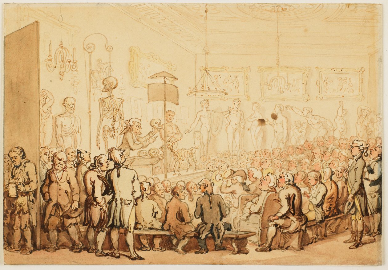 Eine anatomische Vorlesung an der Royal Academy of Arts von Thomas Rowlandson