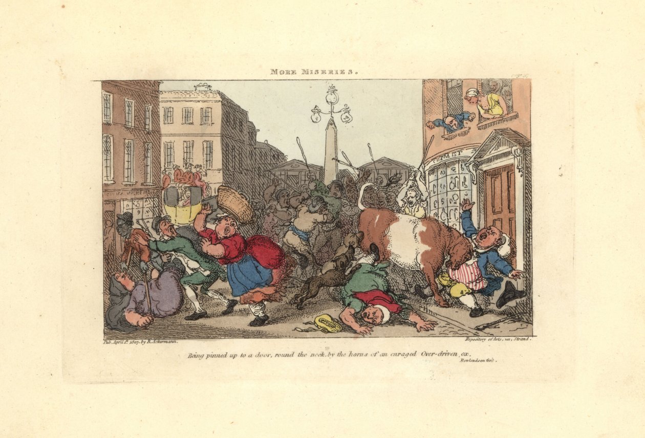 Mann, der von den Hörnern eines wütenden Ochsen an eine Tür geheftet wird von Thomas Rowlandson