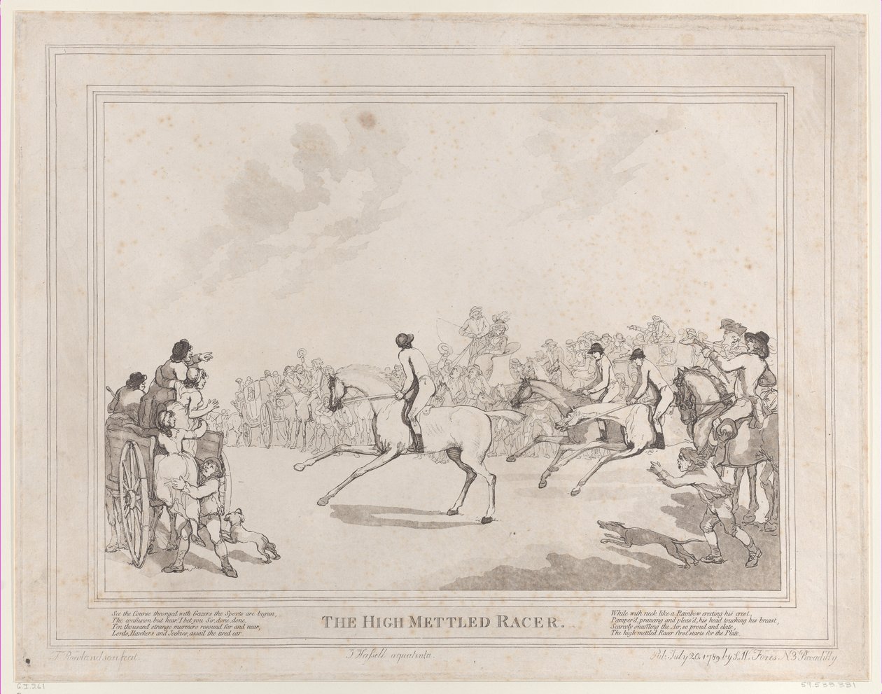 Das Rennpferd aus Das Leben eines Rennpferdes oder Der hochmütige Renner von Thomas Rowlandson