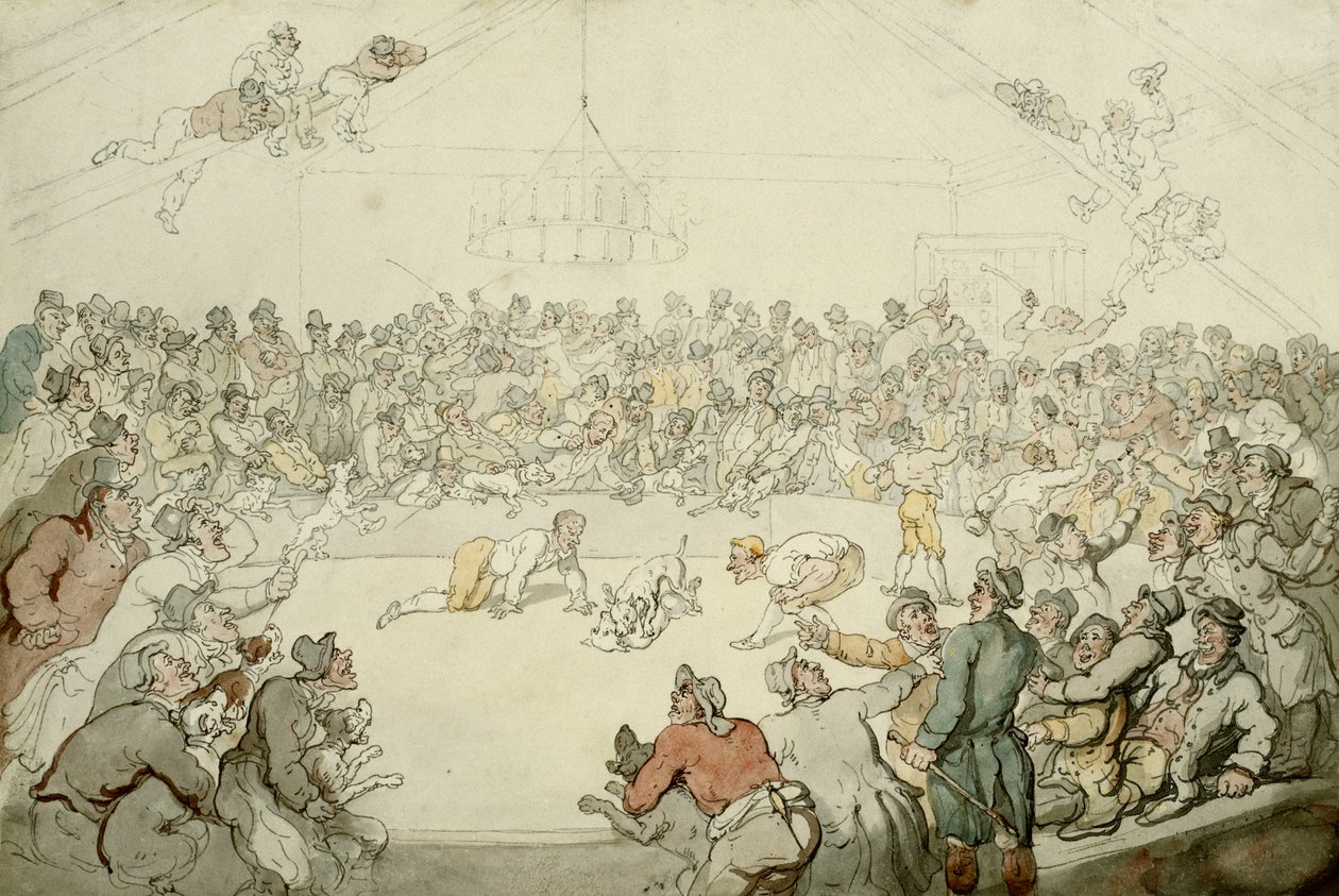 Der Westminster Pitt, 1798 von Thomas Rowlandson