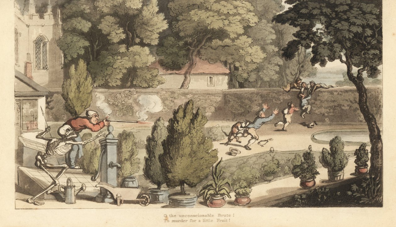 Das Skelett des Todes hilft einem Grundbesitzer, mit einem Musketen auf Jungen zu zielen, die in seinem Garten wildern und versuchen, über eine Mauer zu fliehen. Handkolorierte Kupferstichzeichnung und -gravur von Thomas Rowlandson aus The English Dance of von Thomas Rowlandson