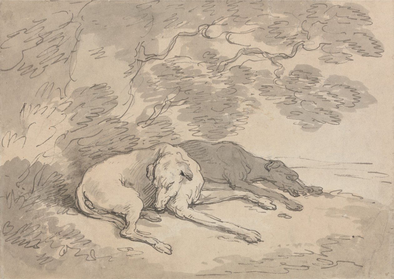 Zwei Windhunde unter einem Baum liegend von Thomas Rowlandson