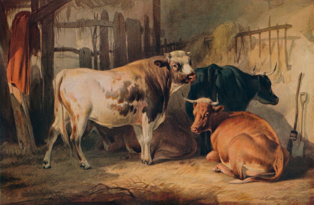 Ein Stier und drei Kühe in einem Stall, um 1856 von Thomas Sidney Cooper