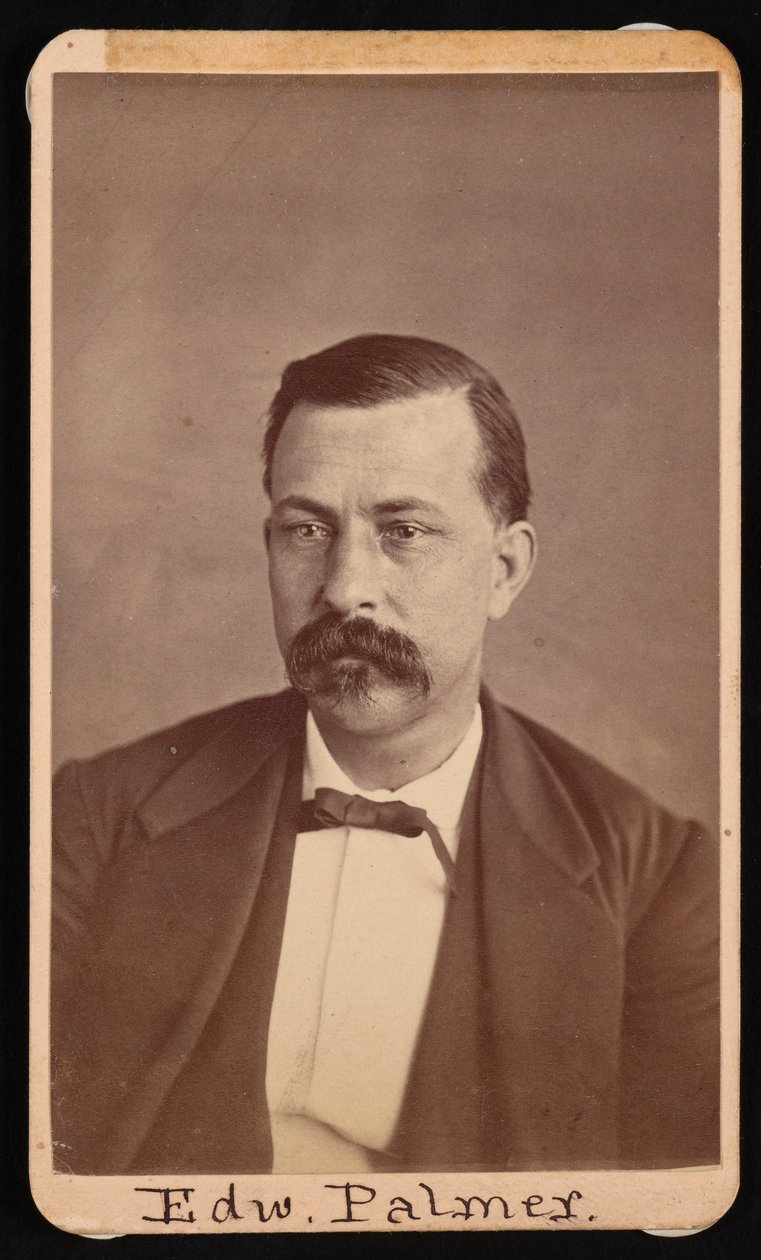 Porträt von Edward Palmer 1829-1911, vor 1900 von Thomas William Smillie