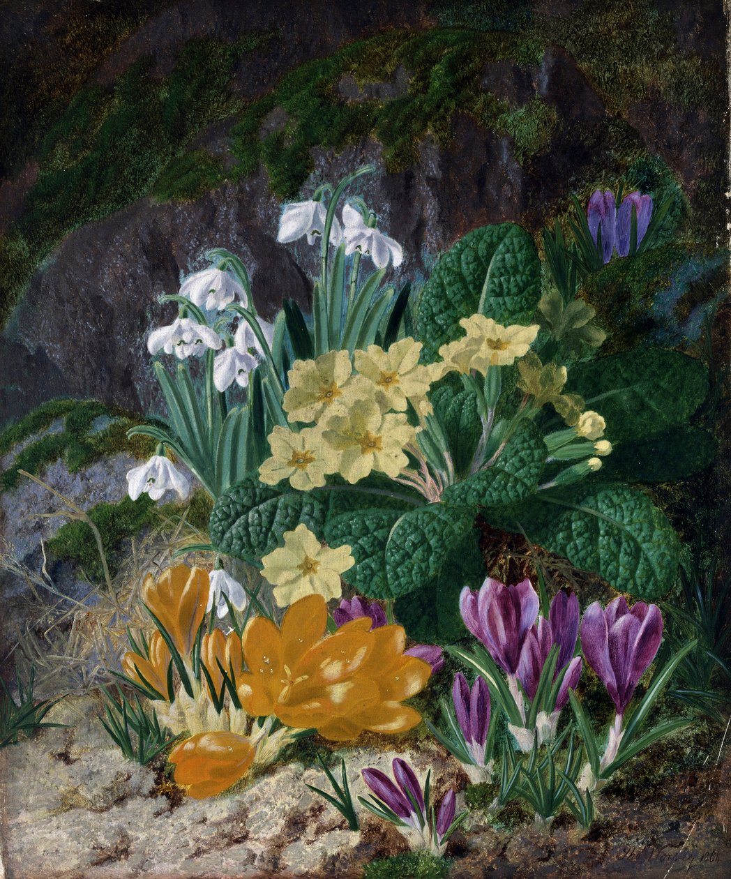 Frühlingsblumen (einschließlich Krokusse und Primeln). Gemälde von Thomas Worsey (1829-1875) Privatsammlung. von Thomas Worsey