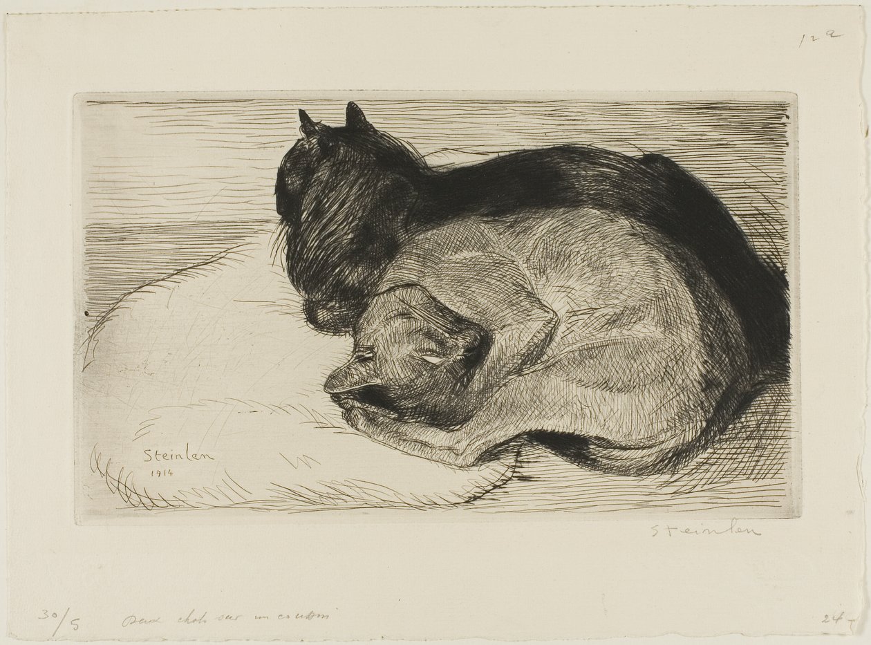 Zwei Katzen auf einem Kissen von Théophile Alexandre Pierre Steinlen