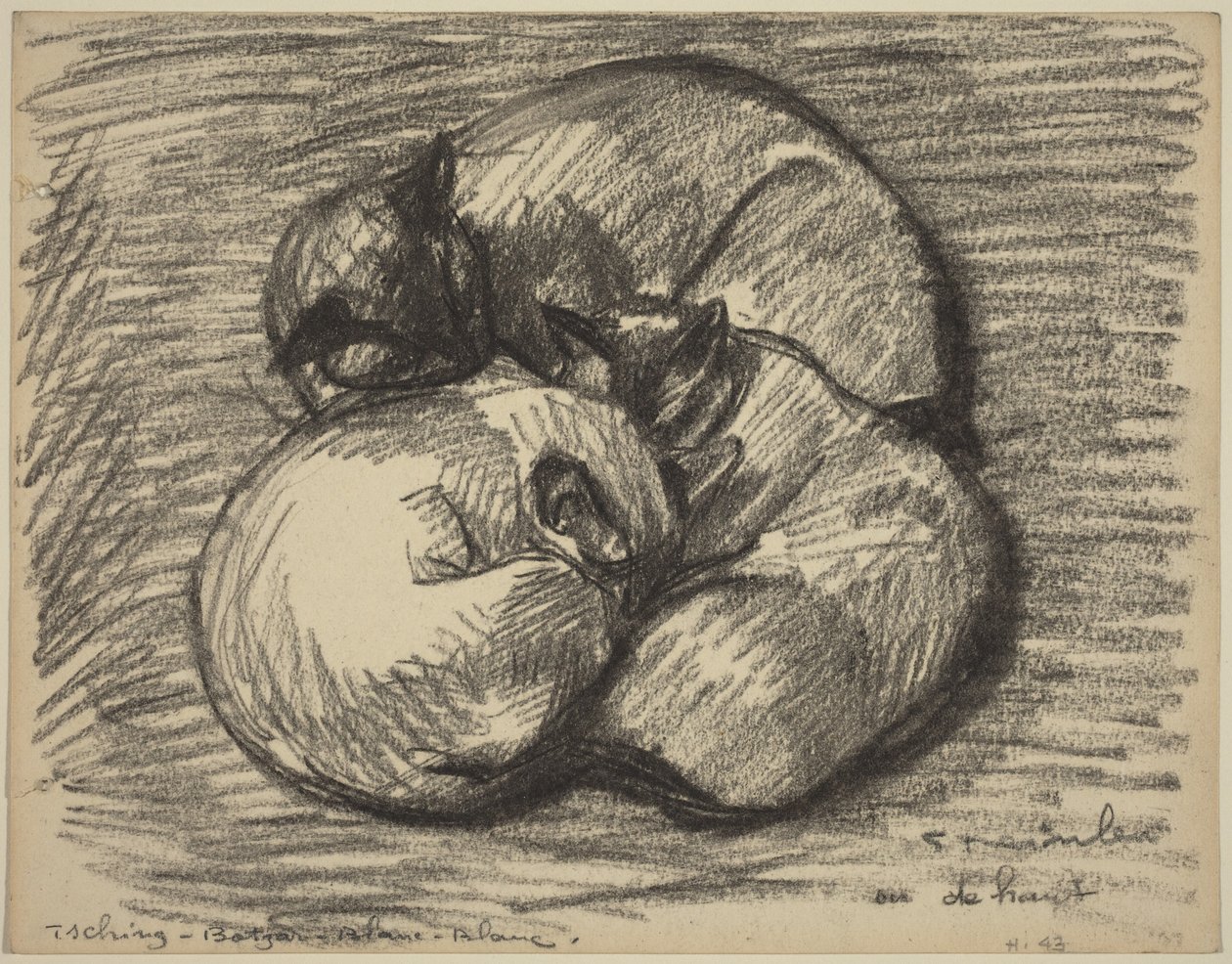 Die Katzen: Tsching, Batzar und Blanc-Blanc von Théophile Alexandre Steinlen