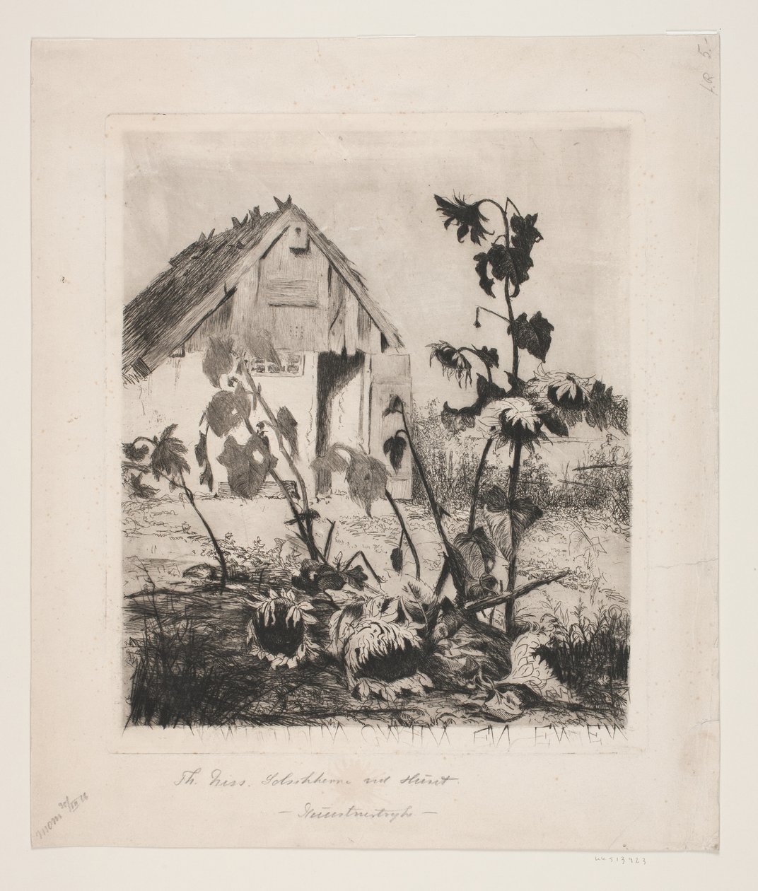 Sonnenblumen am Haus von Thorvald Niss