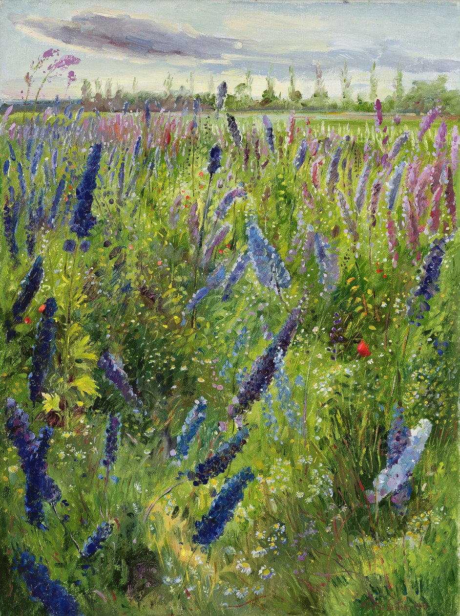 Rittersporn und aufgehende Sonne, 1991 von Timothy Easton