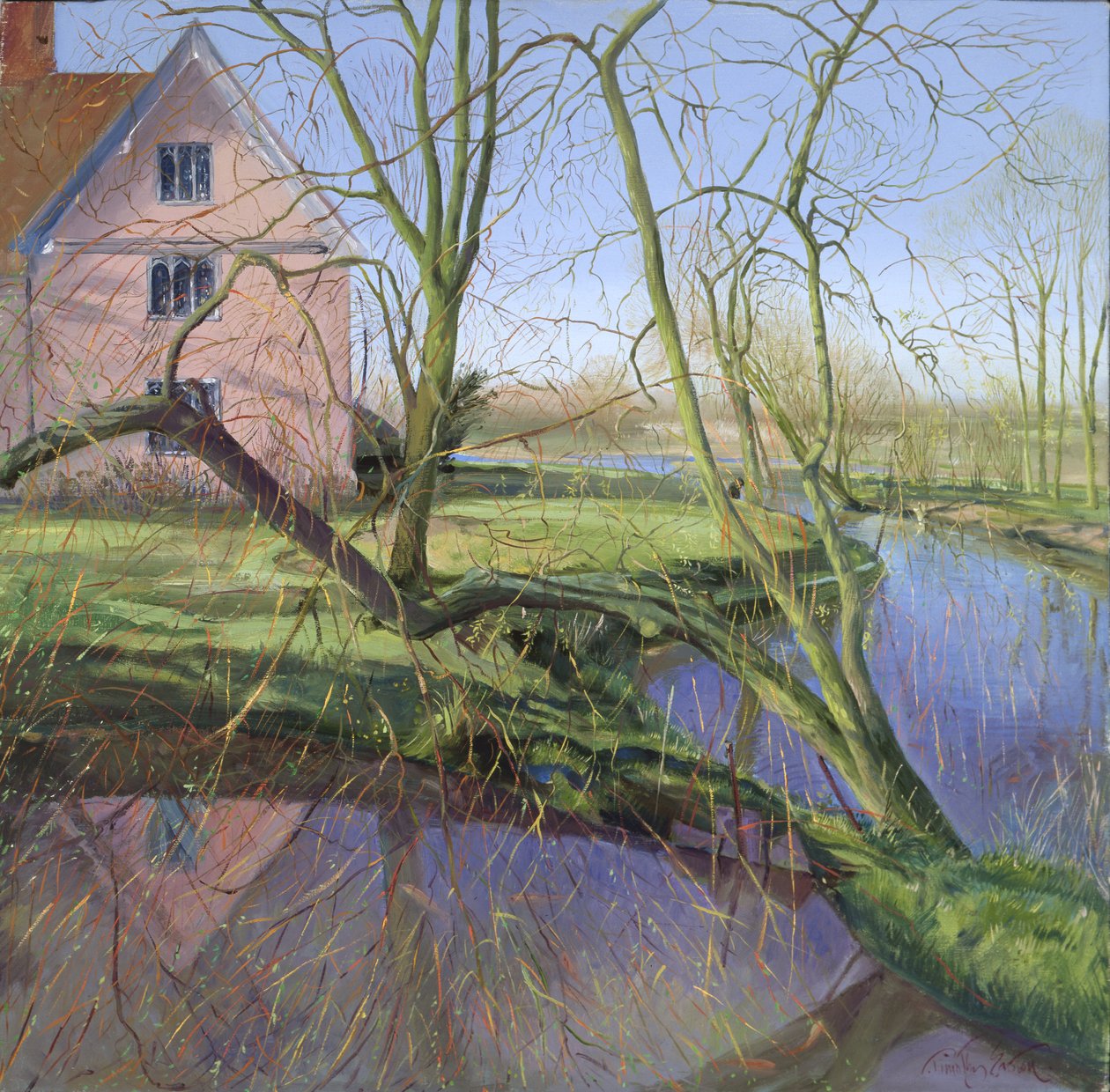 Sprießender Weidenbaum von Timothy Easton