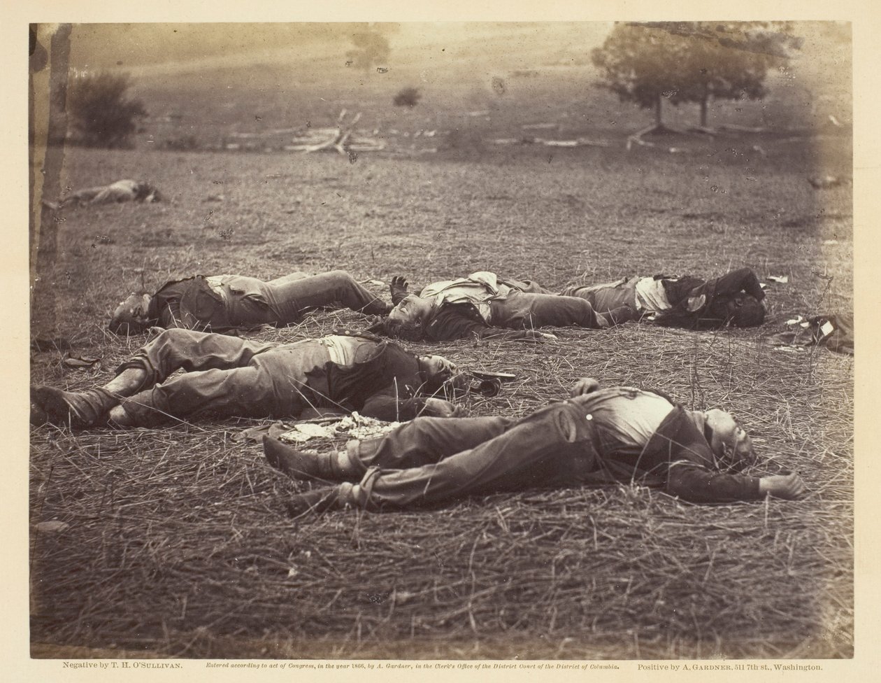 Feld, wo General Reynolds fiel, Gettysburg von Timothy O