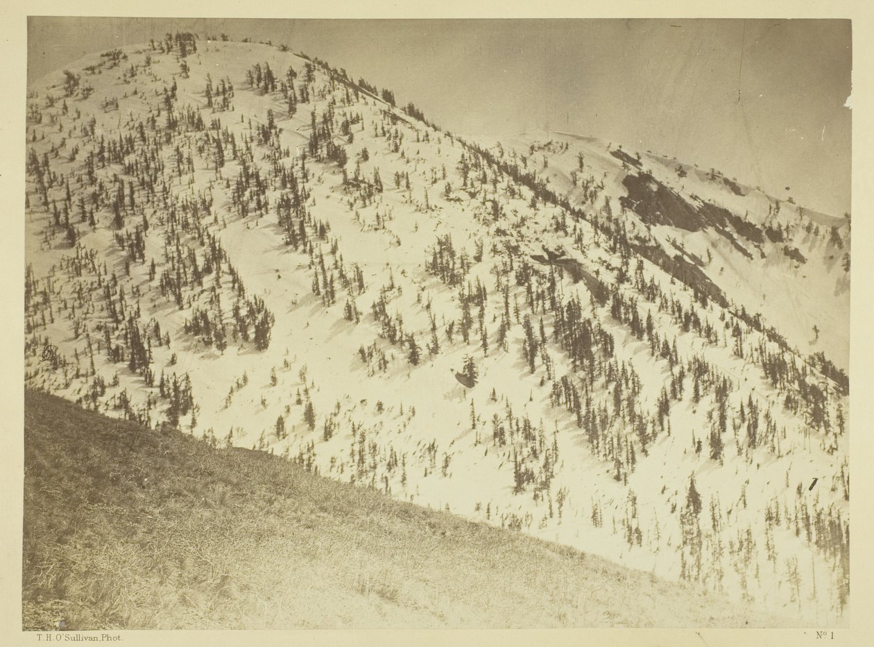 Schneegipfel, Bull Run Bergbaudistrikt, Nevada von Timothy O