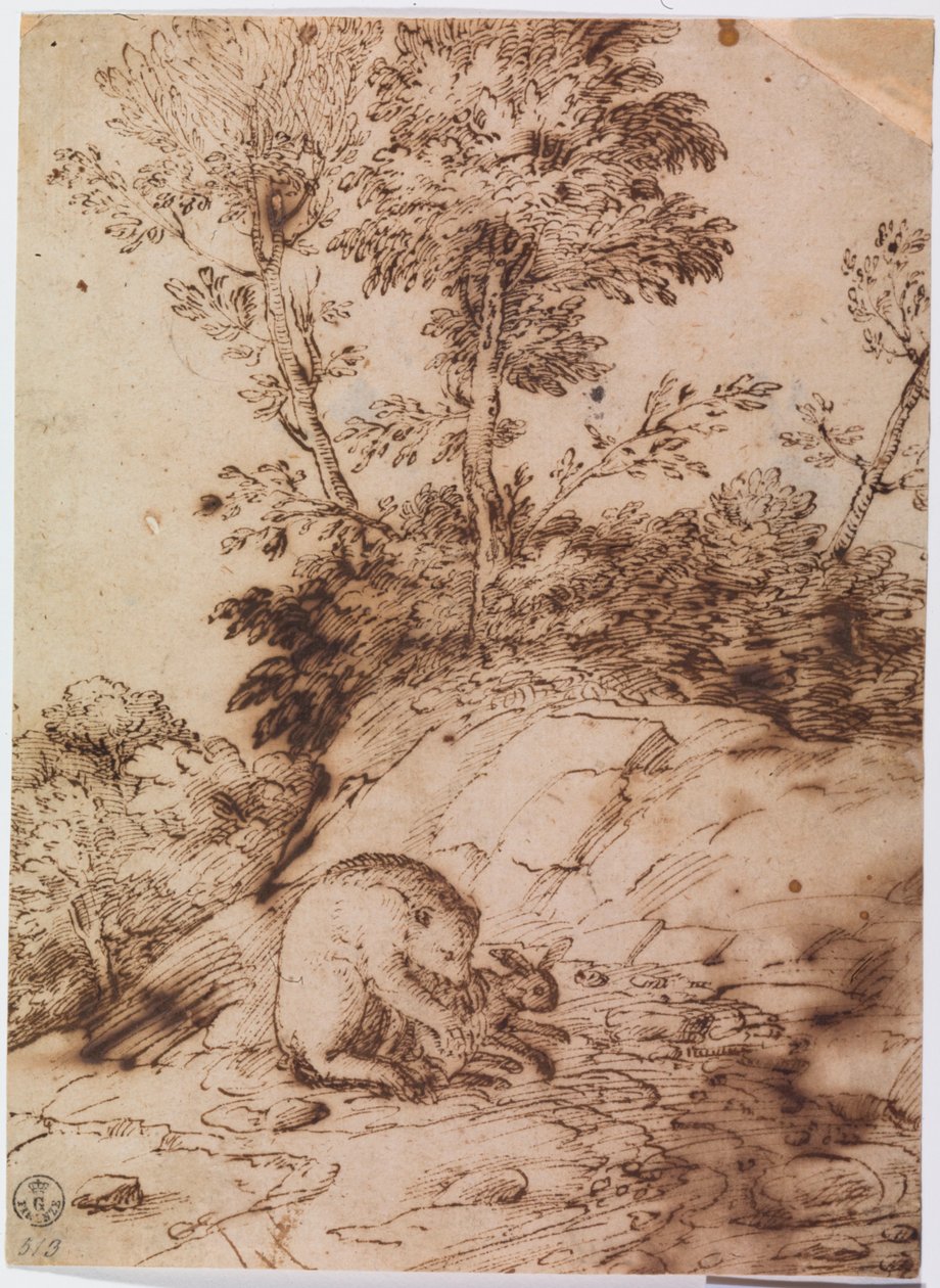 Ein Bär, der ein Kaninchen frisst von Titian (c.1488 1576)