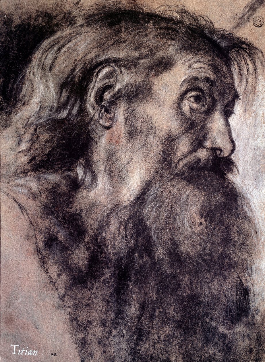 Kopf eines alten Mannes (Zeichnung von Tiziano Vecellio, genannt Tizian, 16. Jahrhundert, Paris, Louvre Museum) von Titian (c.1488 1576)
