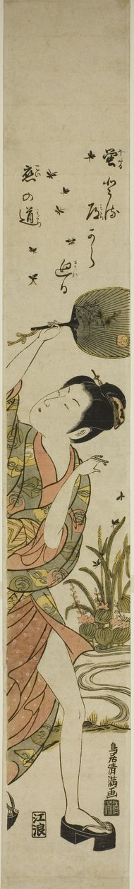 Glühwürmchen jagen von Torii Kiyomitsu I