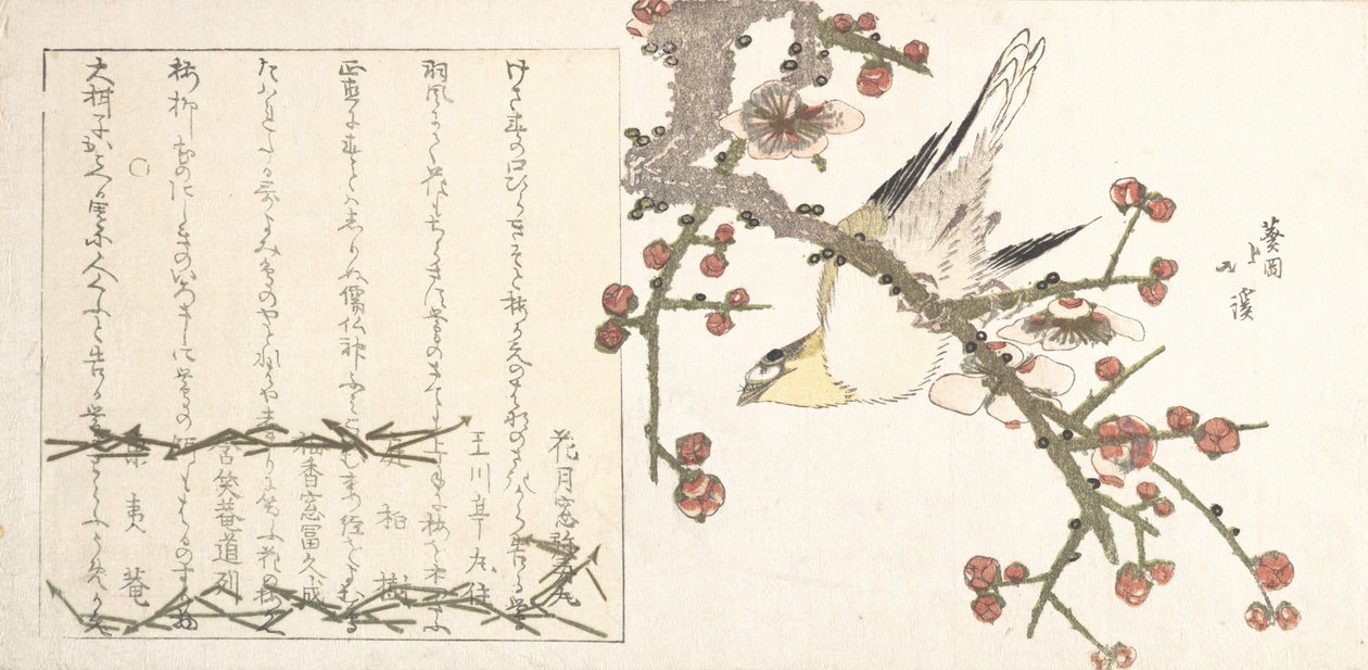 Buschsänger auf einem Pflaumenzweig von Totoya Hokkei