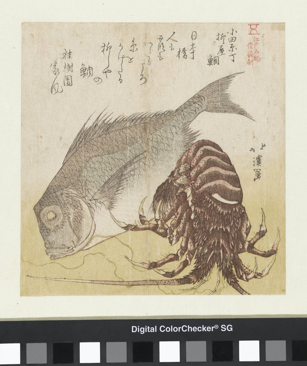 Der Seebarsch von Yanagiya in Odawarachō von Totoya Hokkei