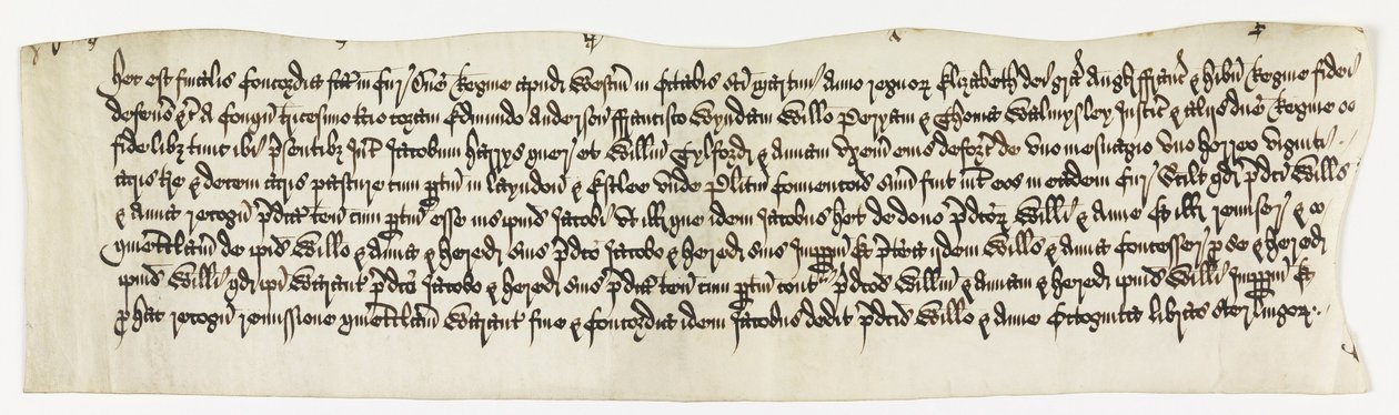 Land, Layndon, 20 Morgen und 1 Anwesen genannt, Datum Okt. 1585 von Unbekannt Unbekannt