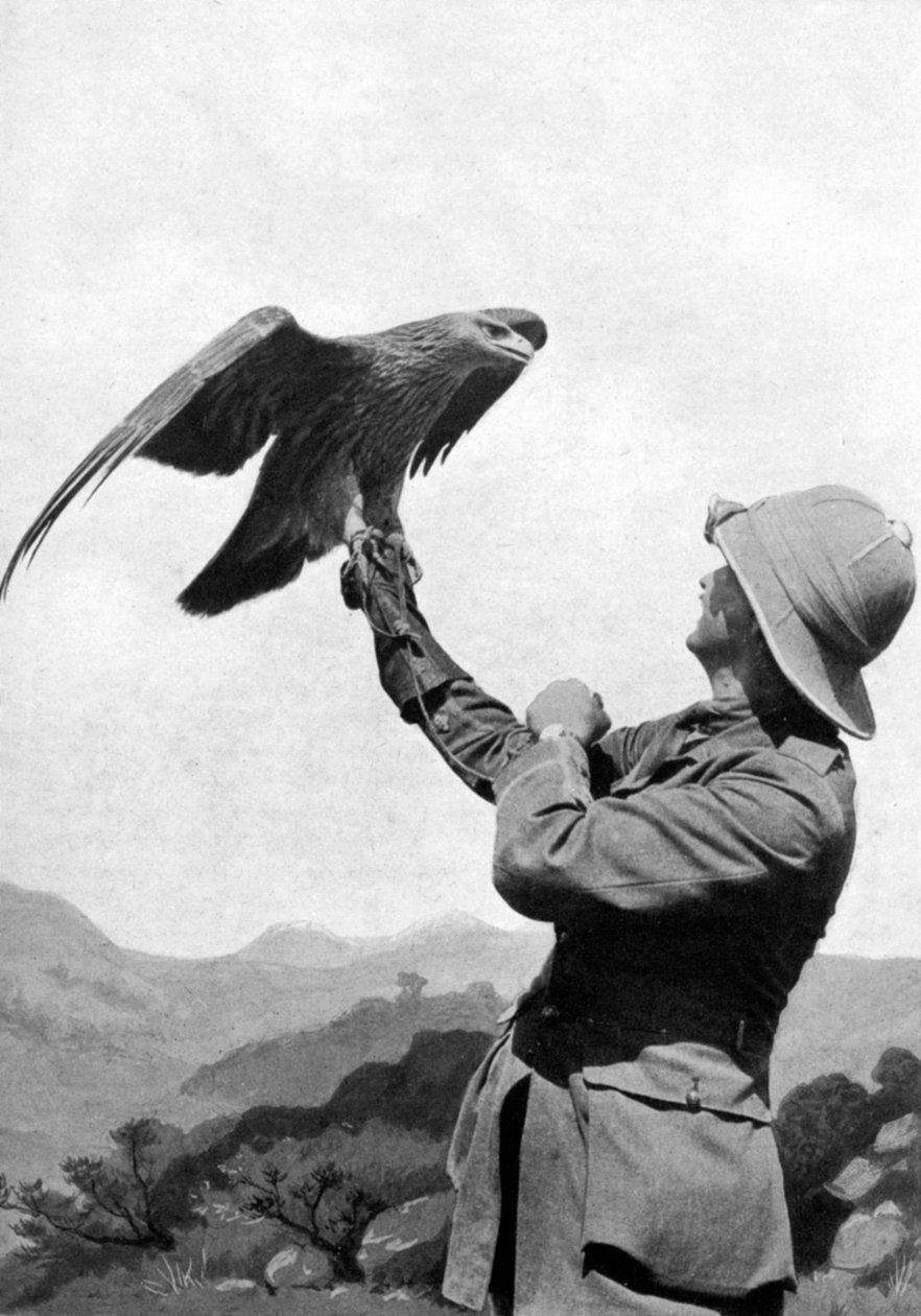 Ein britischer Offizier mit einem gezähmten Goldadler, Saloniki, Griechenland, Erster Weltkrieg, 1914-1918, um 1920 von Unbekannt