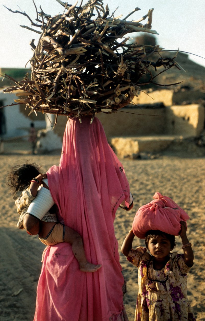 Eine lokale Holzfällerfamilie aus einem Dorf in Rajasthan, Indien. 25. Februar 2005. (Foto) von Unbekannt