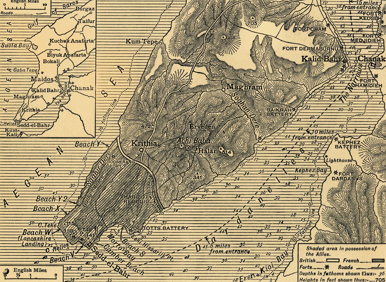 Alliierte Positionen auf der Halbinsel Gallipoli in der Türkei, Erster Weltkrieg, Juli 1915, ca. 1920 von Unbekannt