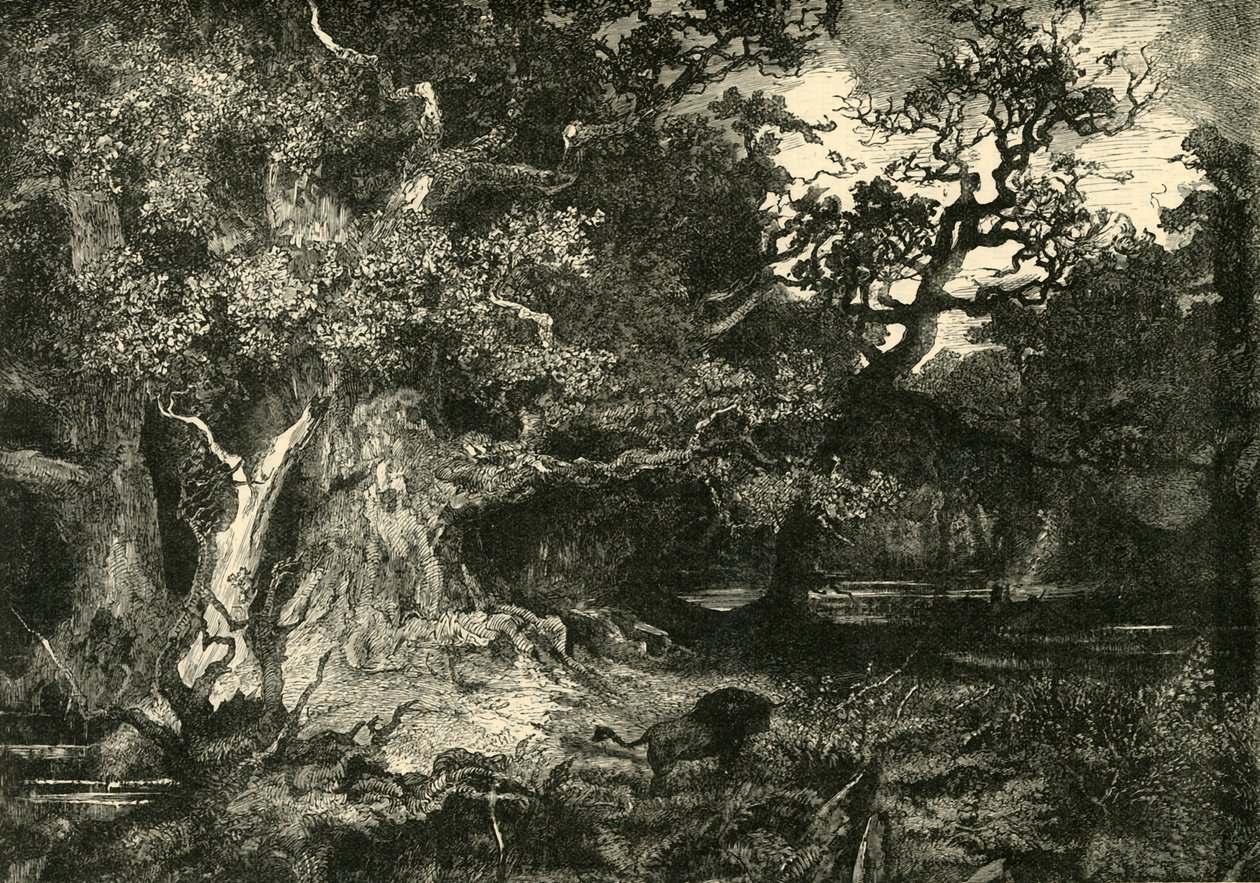 Ein alter deutscher Wald, 1890 von Unbekannt