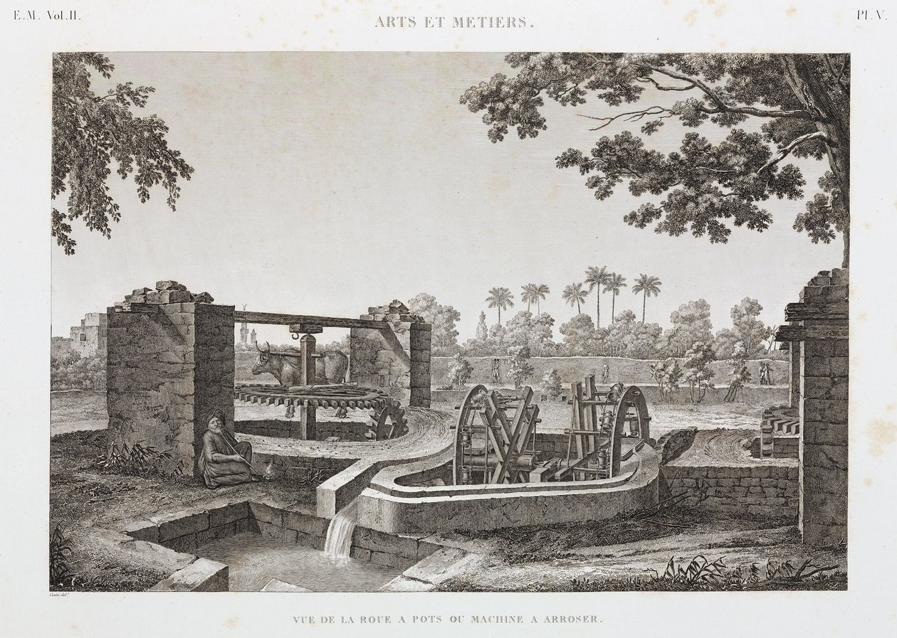 Tierkraft-Rad und Eimer-Bewässerungssystem, Ägypten, ca. 1798 von Unbekannt